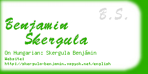 benjamin skergula business card